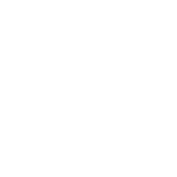 Dealership VIP