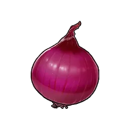Onion image