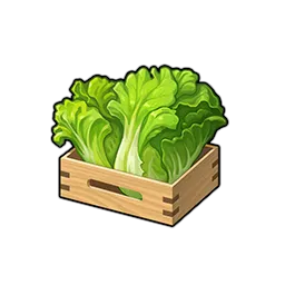 Lettuce image