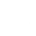 Transform! Super Mint!